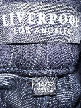 Liverpool Los Angeles Navy pin stripe Pants